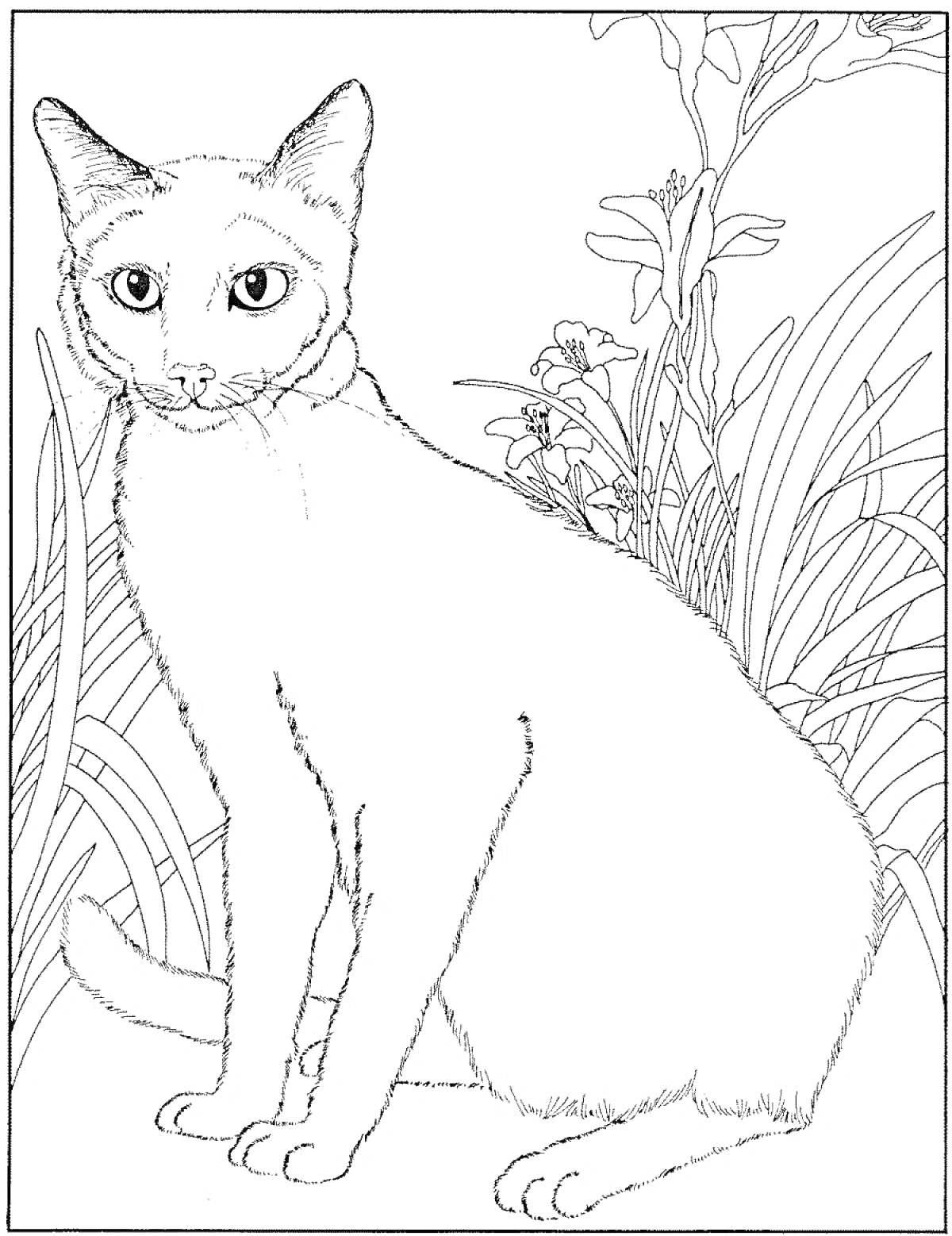 Раскраска Сиамский кот на фоне растений