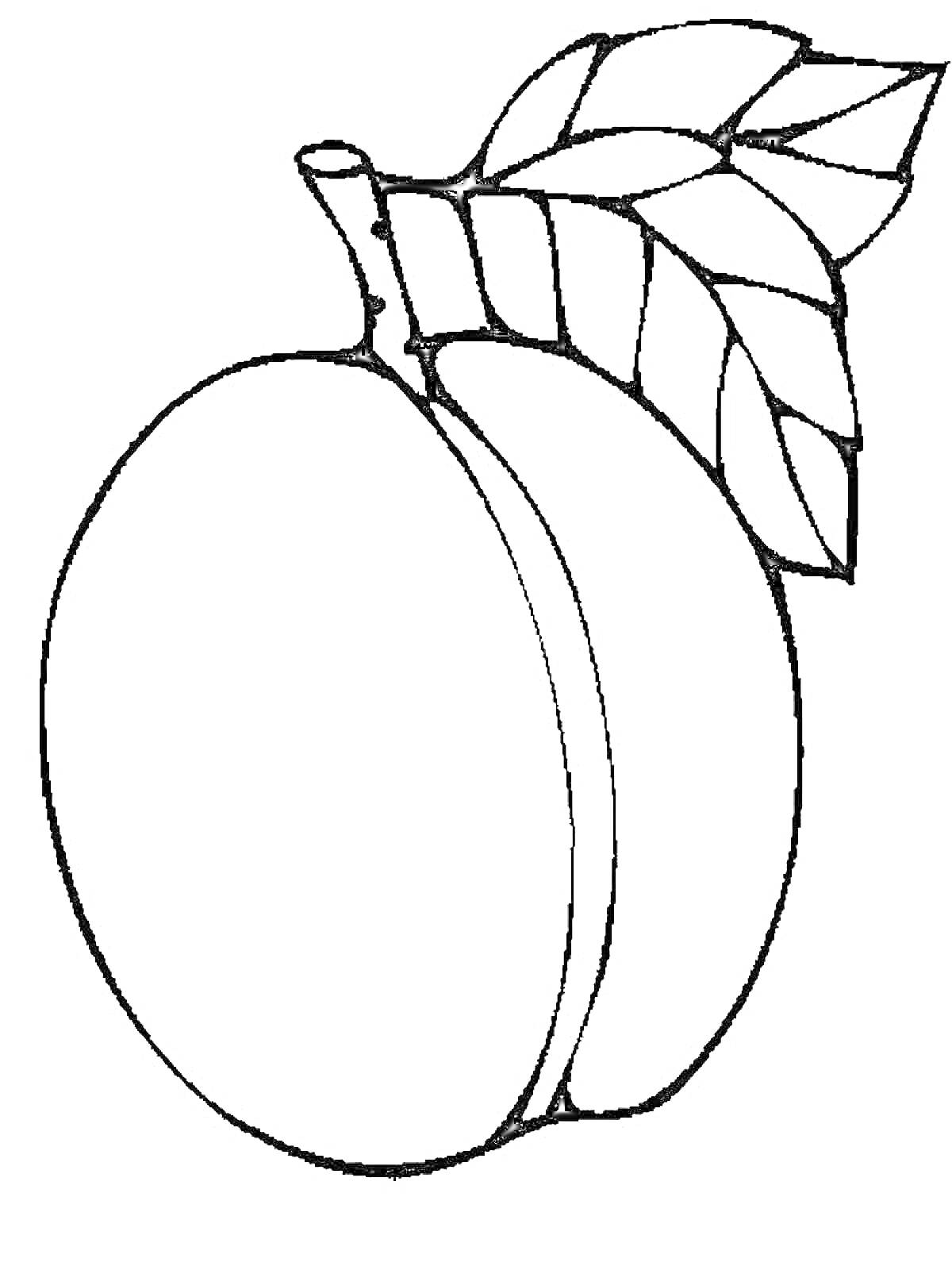 Раскраска Персик с листьями