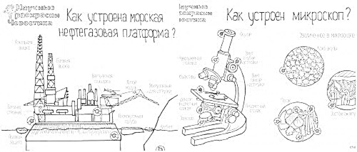 На раскраске изображено: Микроскоп, Наука, Оборудование, Инженер
