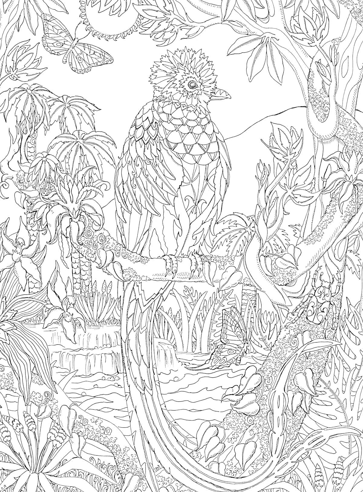 На раскраске изображено: Джунгли, Антистресс, Птица, Бабочка, Пальмы, Цветы, Природа