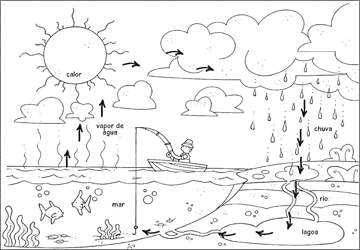 На раскраске изображено: Круговорот воды, Природа, Солнце, Облака, Дождь, Море, Рыбак, Лодка, Рыба