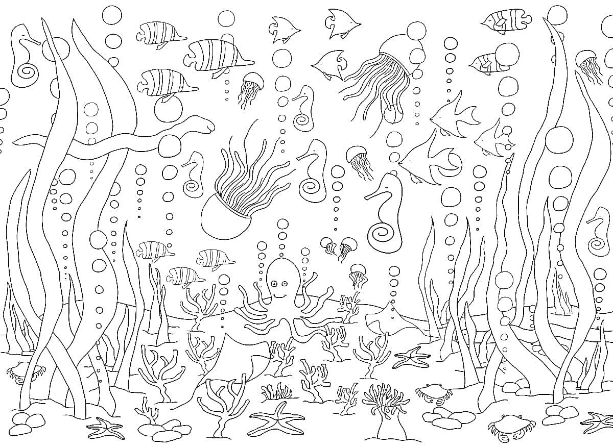 Раскраска Подводный мир с водорослями, рыбами, медузами, осьминогом, морскими коньками, крабами, кораллами и ракушками