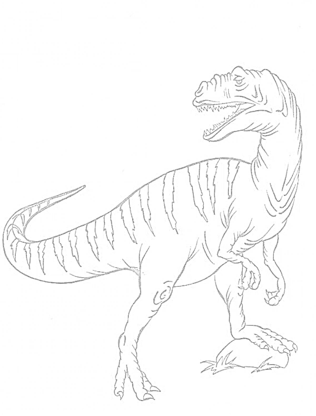 На раскраске изображено: Аллозавр, Динозавр, Трава, Животные