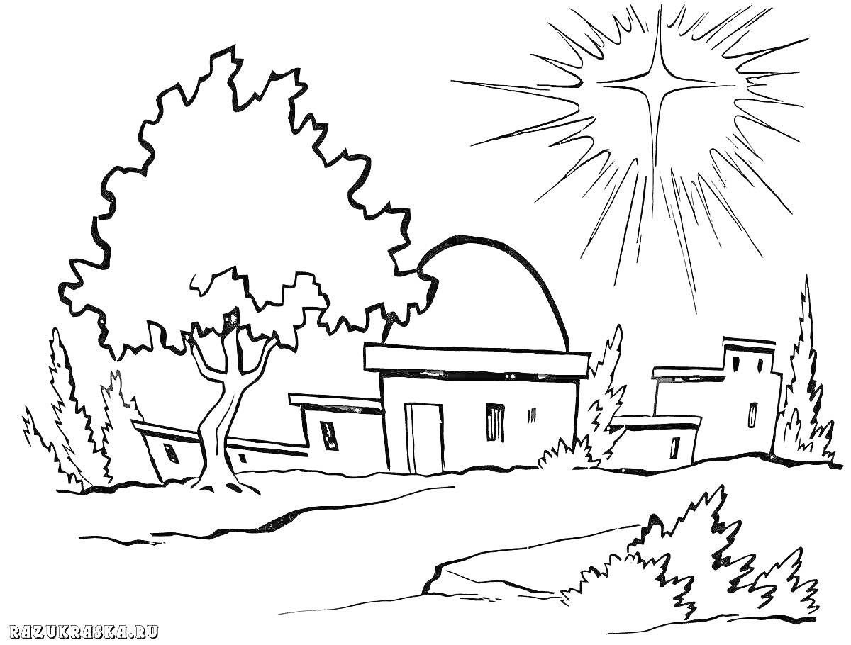 Дом под вифлеемской звездой, дерево, кусты и рельеф