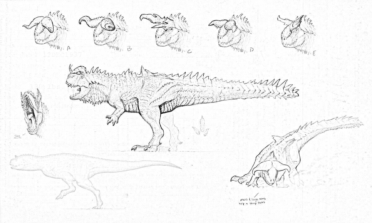 На раскраске изображено: Динозавр, Эскизы, Анатомия, Голова, Движение