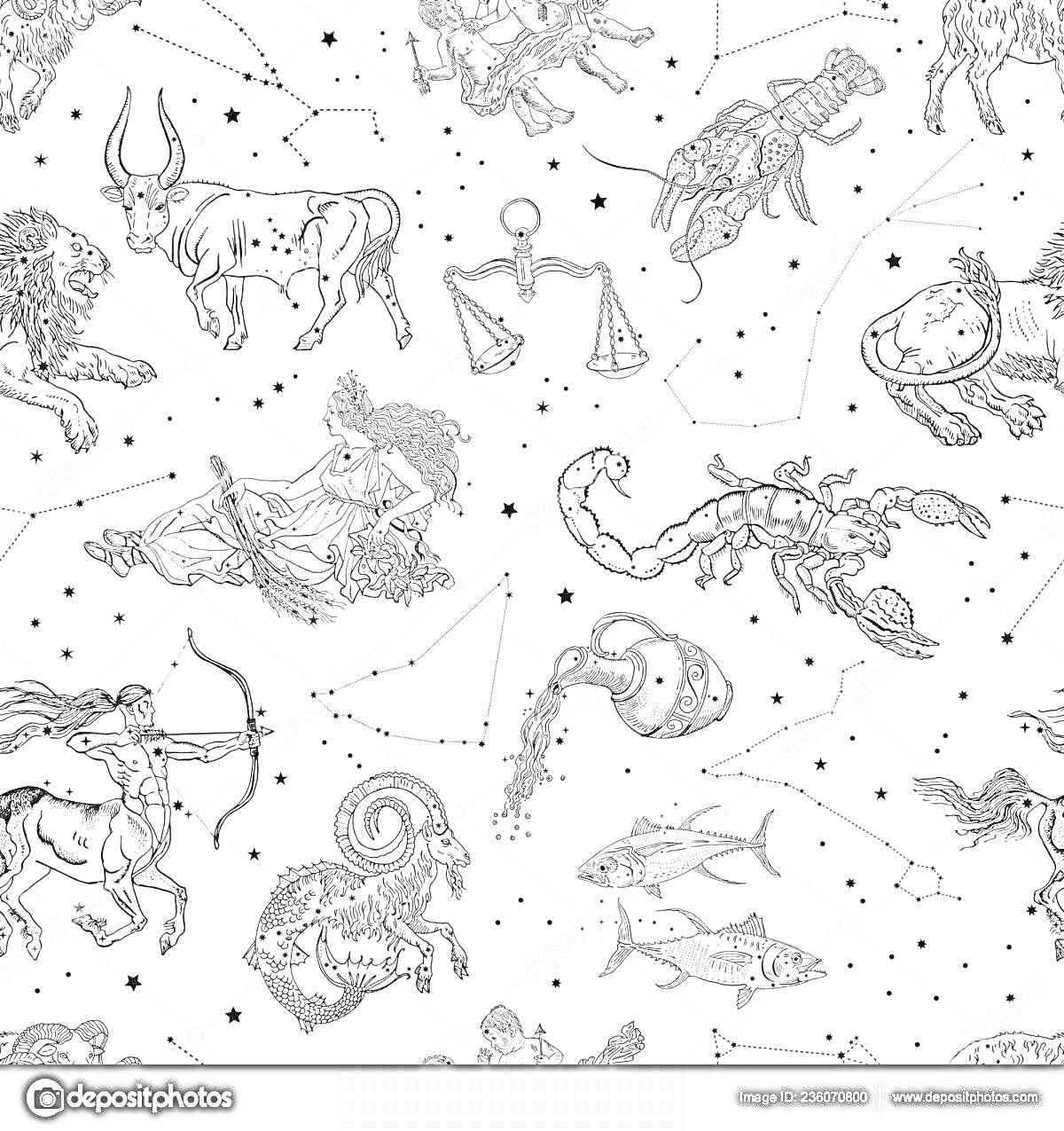 На раскраске изображено: Лев, Весы, Скорпион, Звезды, Астрономия, Небо, Иллюстрация, Рыба