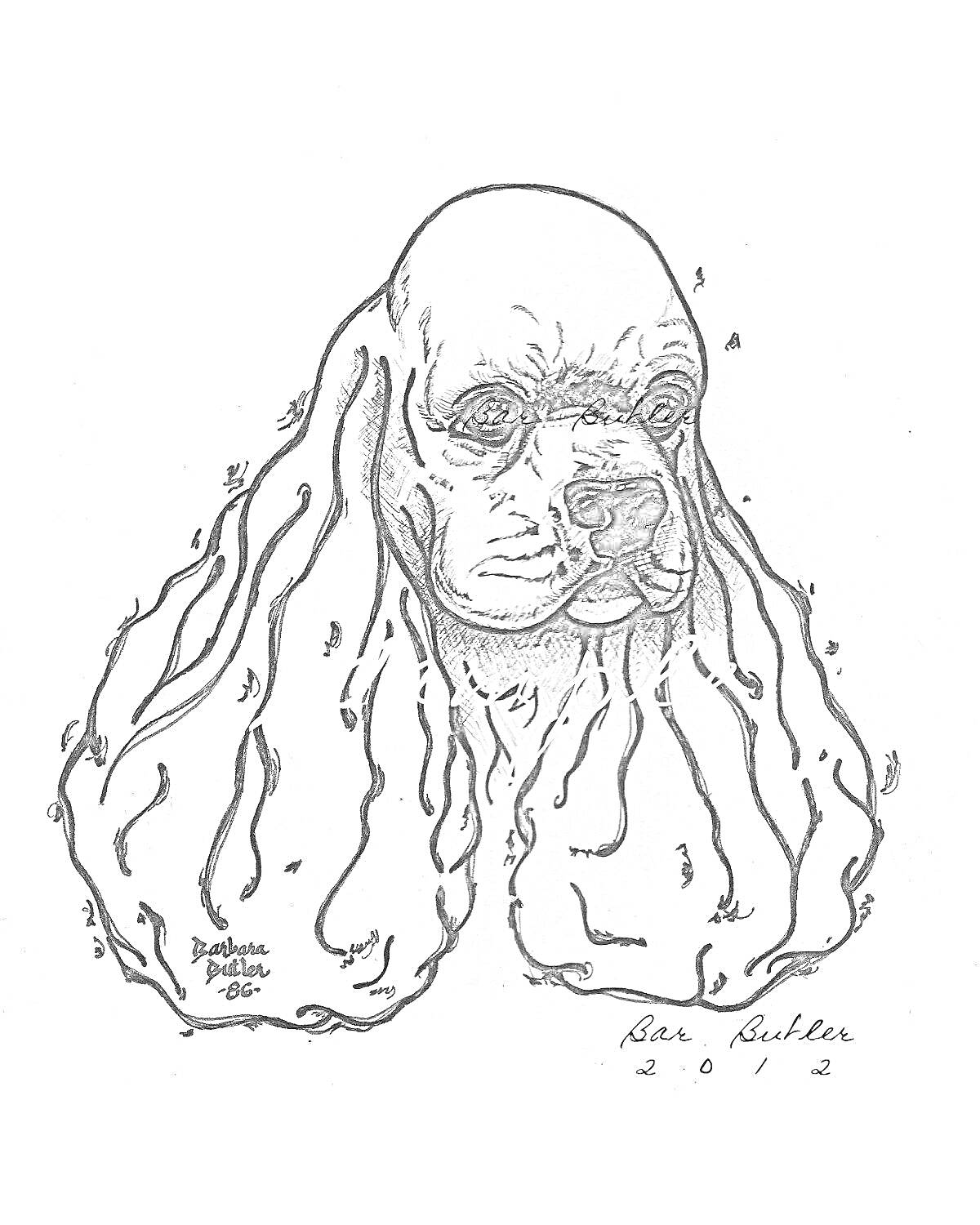 На раскраске изображено: Собака, Длинные уши, Уши