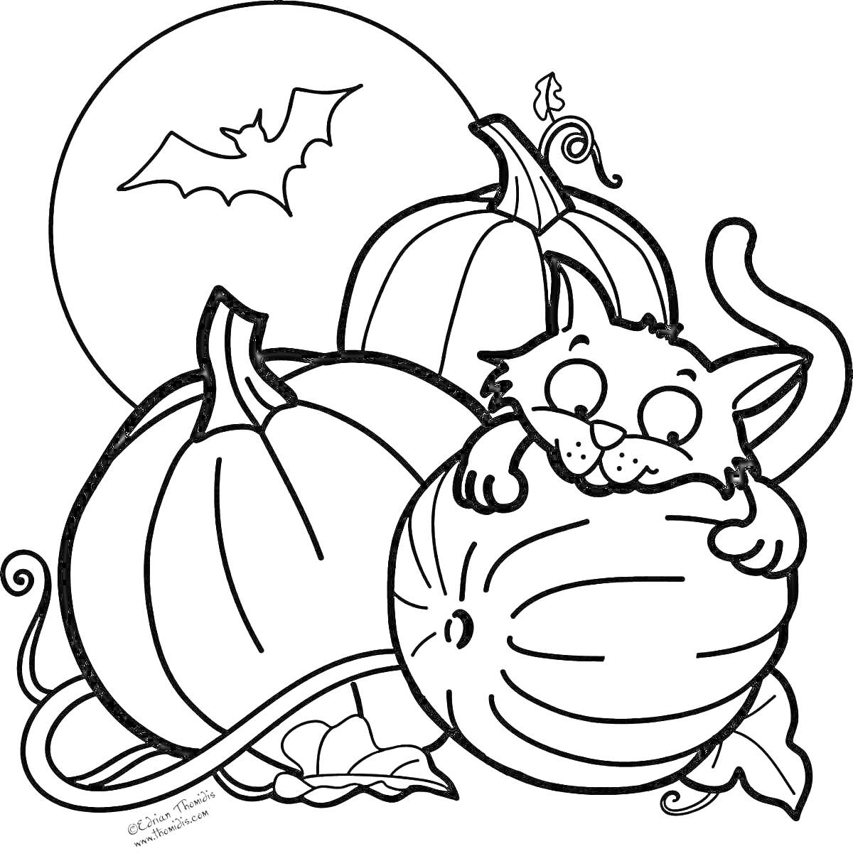 Раскраска Котенок среди тыкв на Хэллоуин под луной с летучей мышью