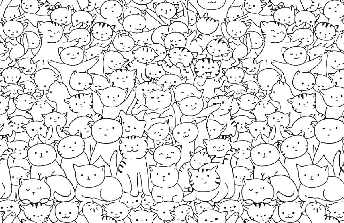 Раскраска много котиков с разными позами и выражениями