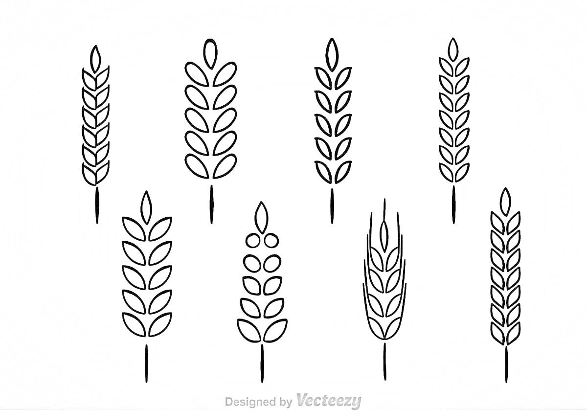 Раскраска Раскраска с изображением семи колосков