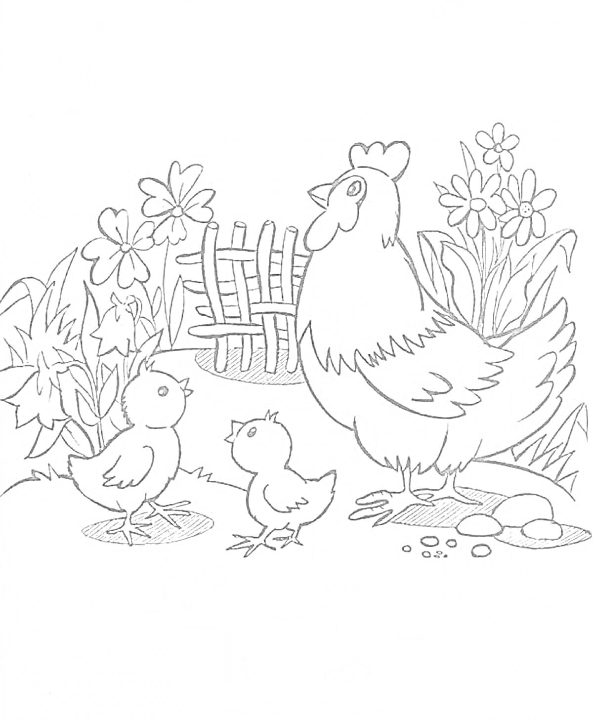 На раскраске изображено: Цыплята, Домашние животные, Природа, Сад, Цветы, Забор, Детеныши