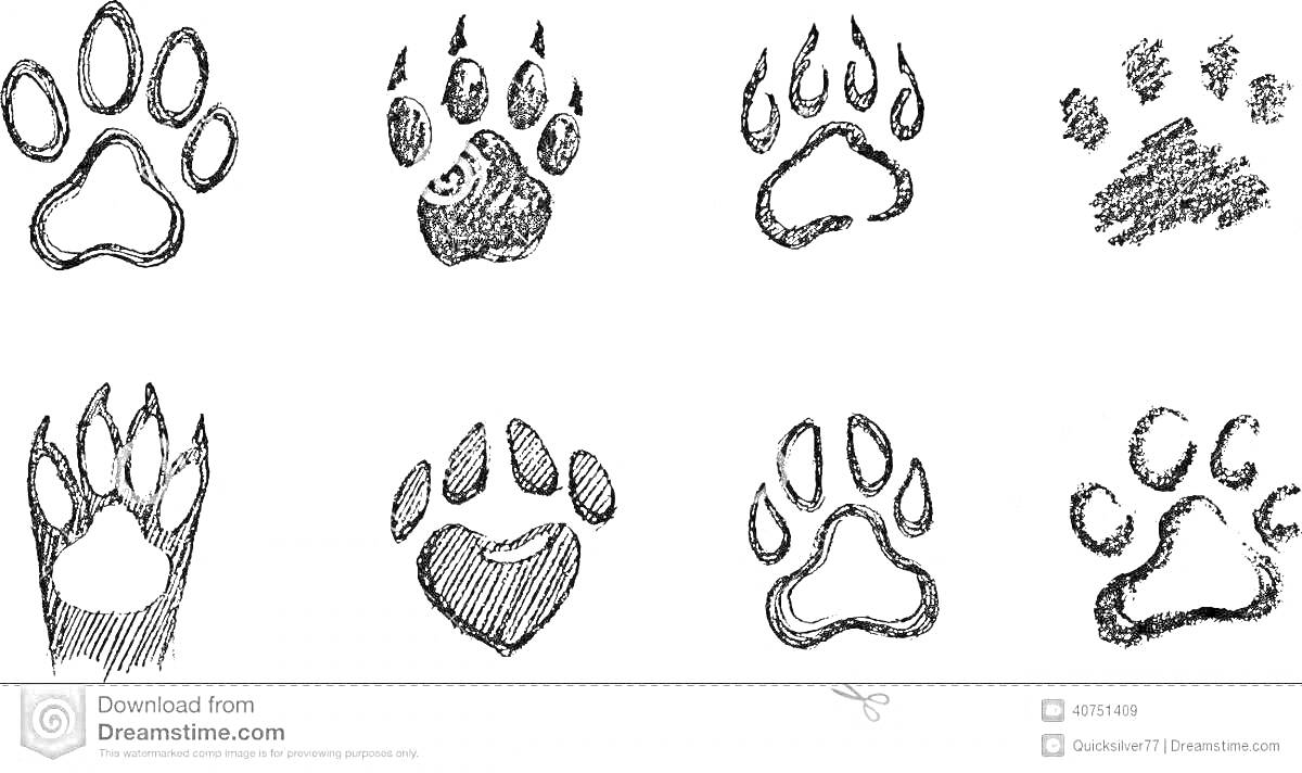 Раскраска Следы различных животных с элементами лап, когтей и отпечатков