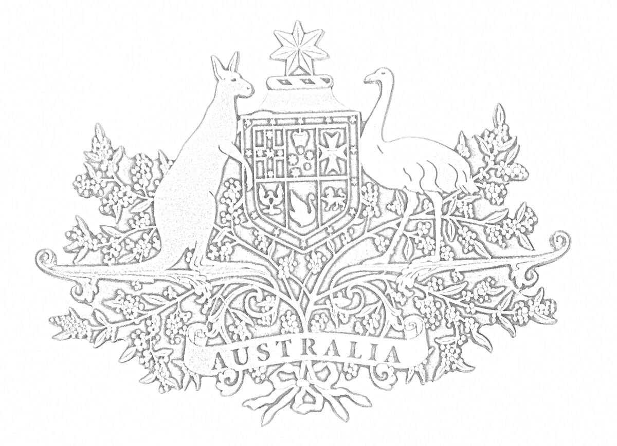 На раскраске изображено: Австралия, Кенгуру, Эму, Щит, Акация, Символы, Животные, Растительный орнамент