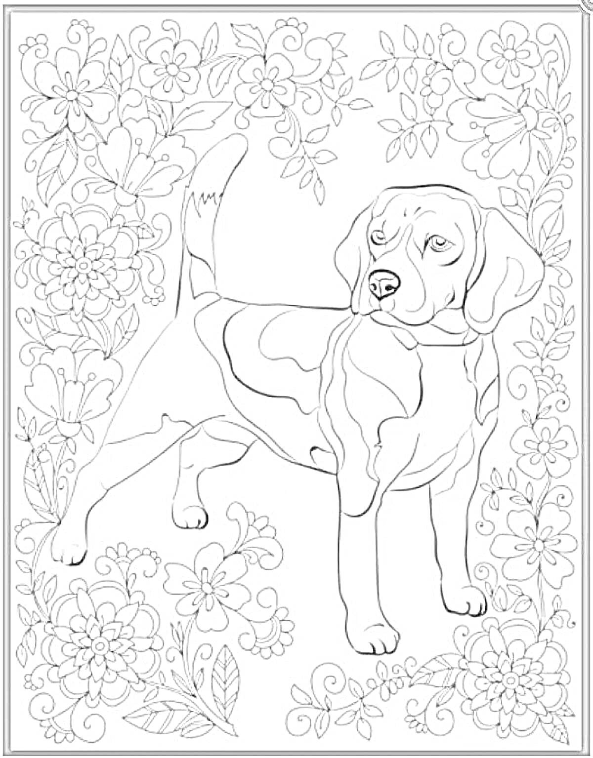 Раскраска Собака в цветочной рамке