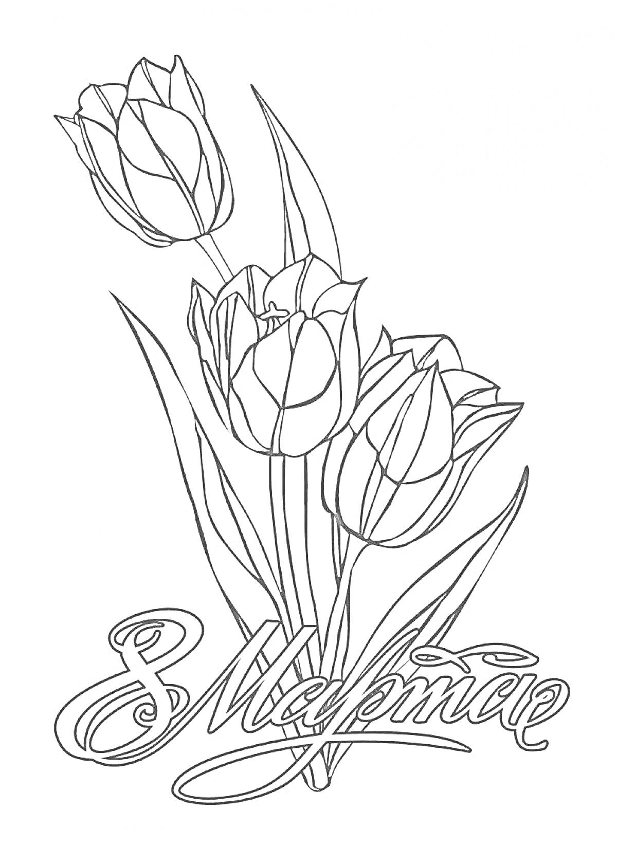 На раскраске изображено: 8 марта, Международный женский день, Тюльпаны, Цветы, Праздники, Весна, Поздравительная открытка
