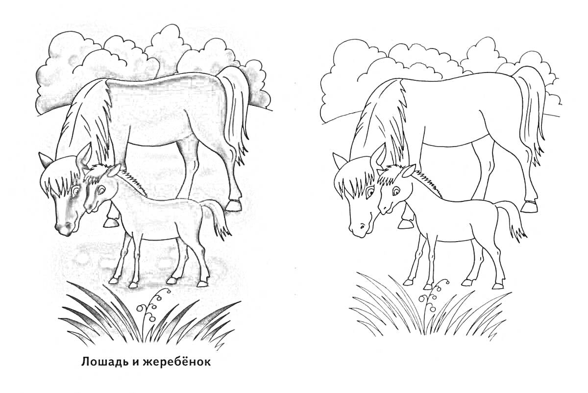 Раскраска Лошадь и жеребенок на фоне кустов и травы