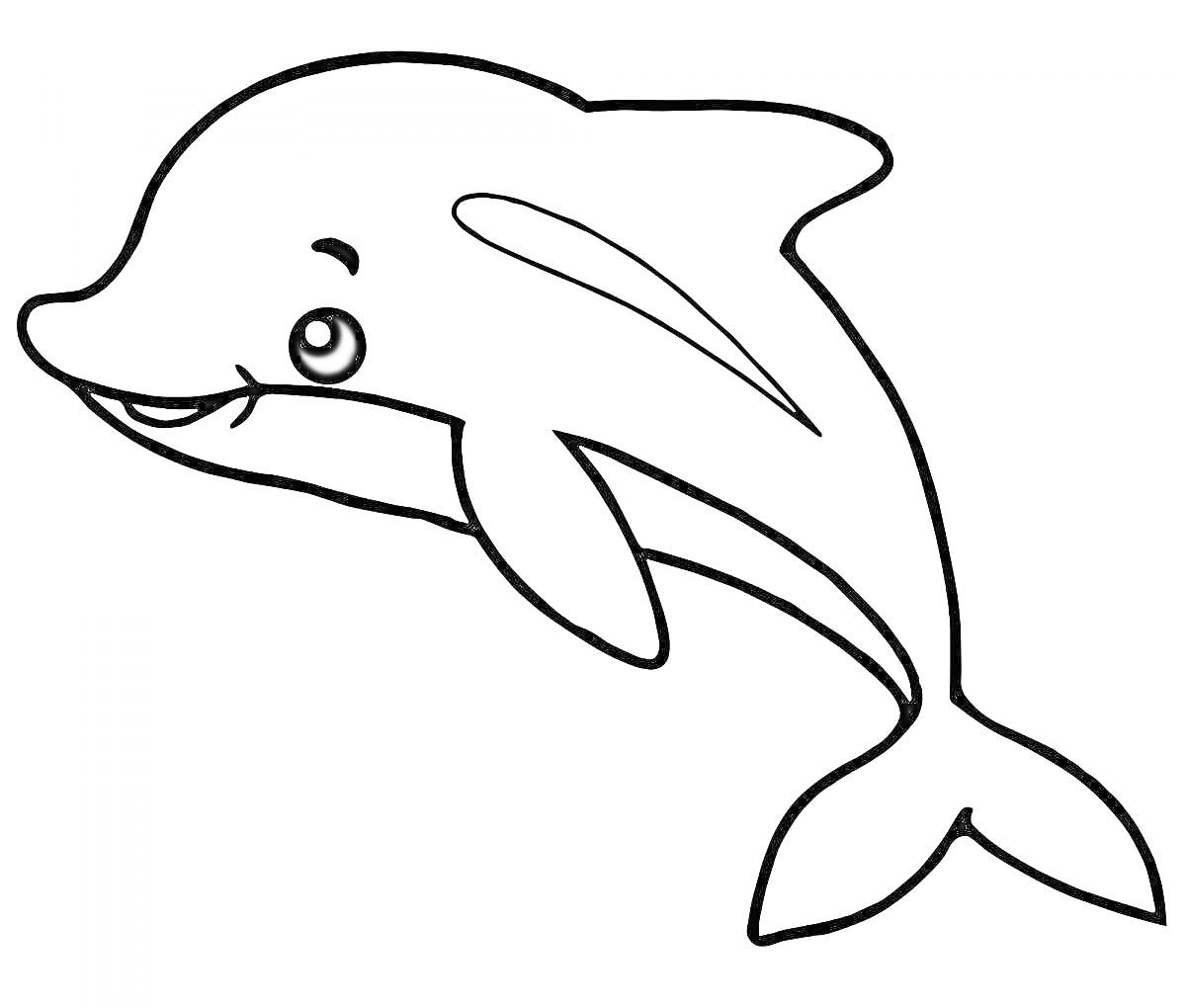 Раскраска Дельфин с улыбающимся лицом