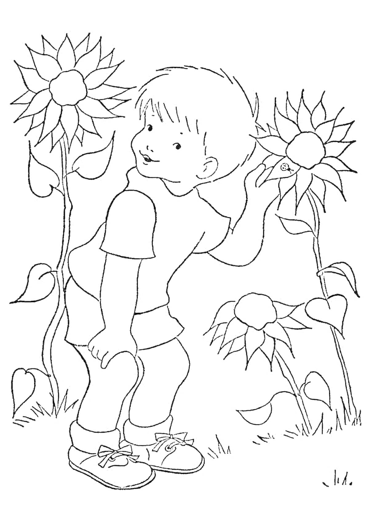 На раскраске изображено: Мальчик, Подсолнухи, Природа, Цветы, Детство, Лето