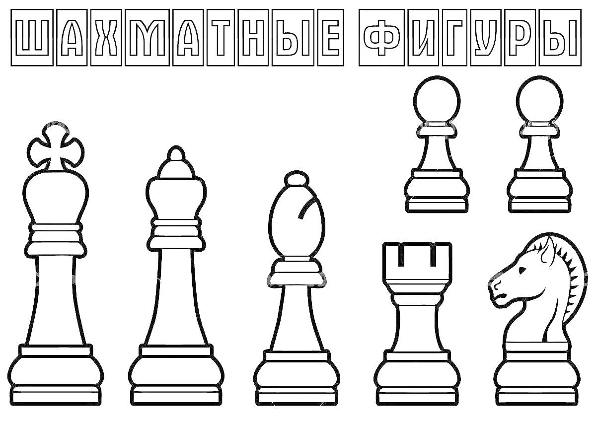 Шахматные фигуры: король, ферзь, слон, пешка, ладья, конь