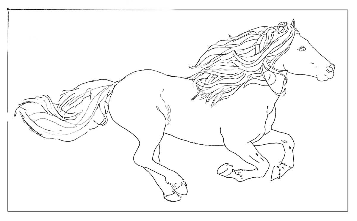 На раскраске изображено: Шайр, Лошадь, Бег, Грива, Ветер