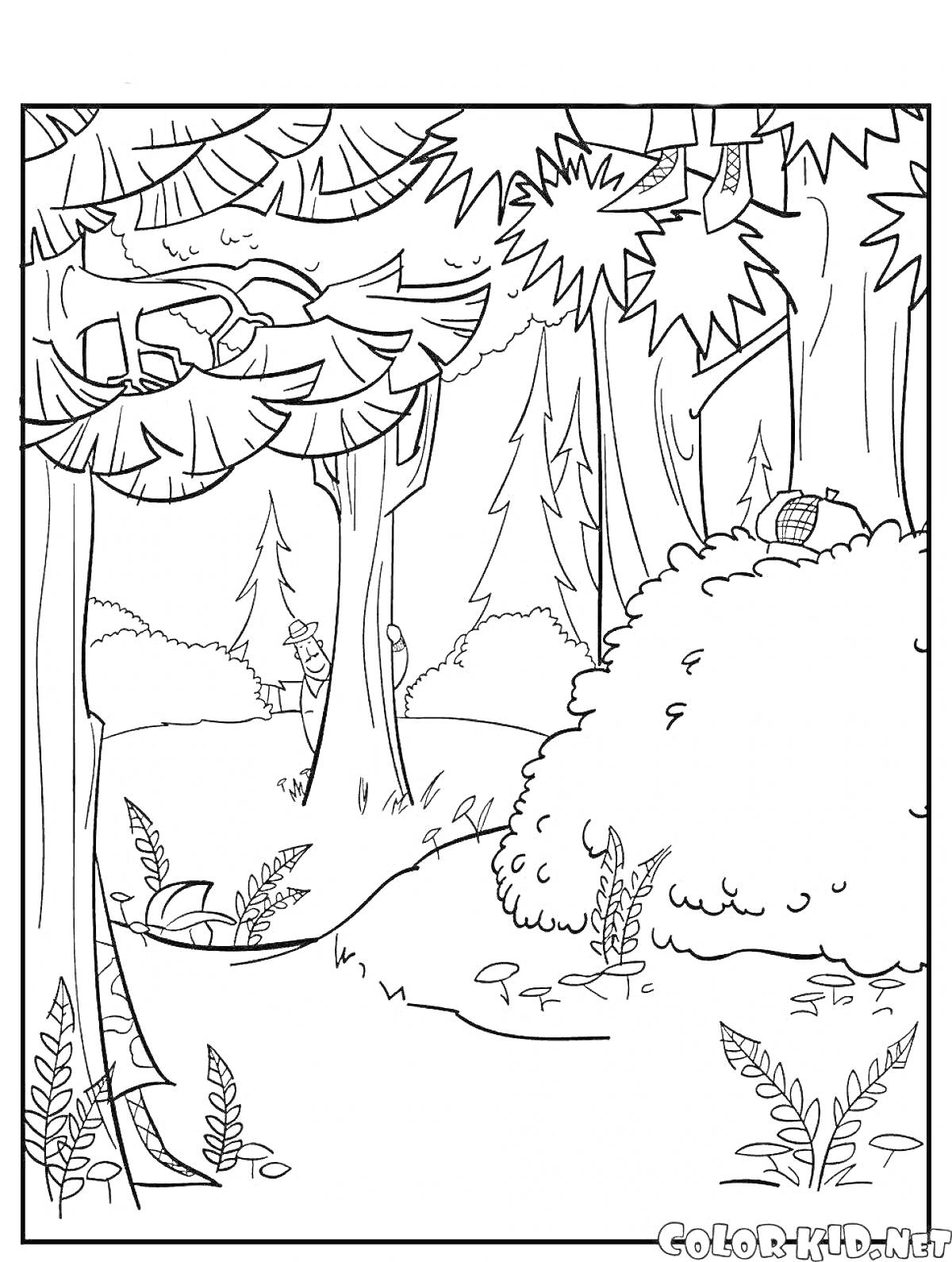 На раскраске изображено: Лес, Деревья, Кусты, Листья, Корзинка, Природа, Лужайка, Для детей