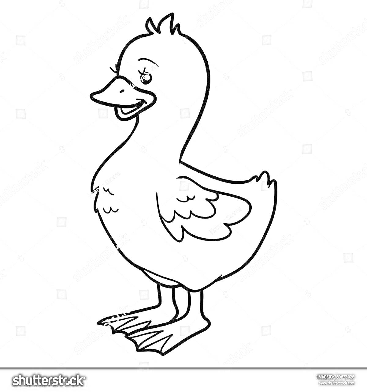 Раскраска Улыбающаяся утка стоящая на задних лапах