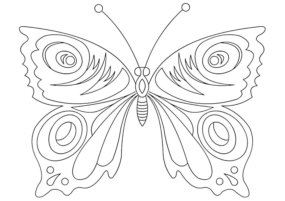 На раскраске изображено: Бабочка, Крылья, Узоры, Насекомое, Творчество
