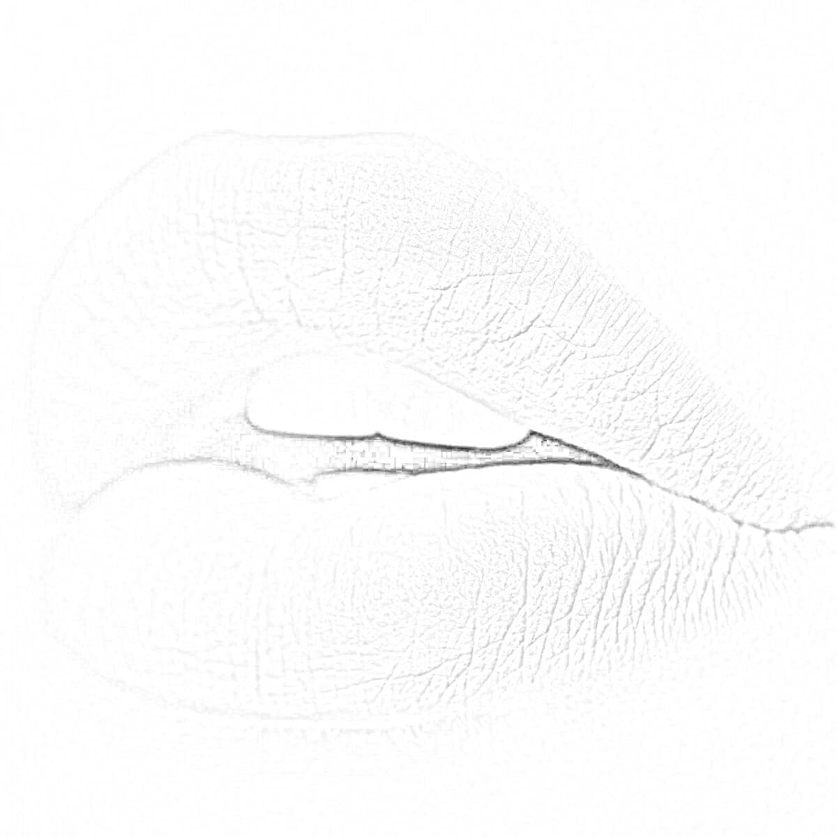 Раскраска Пухлые губы без помады, черно-белое фото