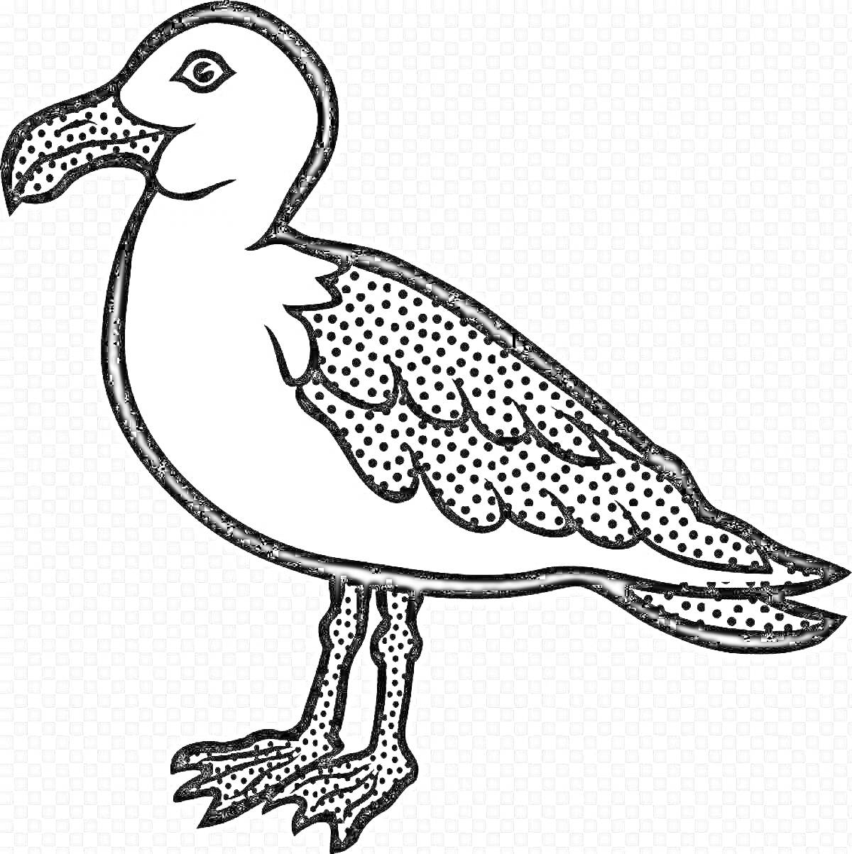Раскраска Раскраска: чайка с деталями на крыльях и лапах