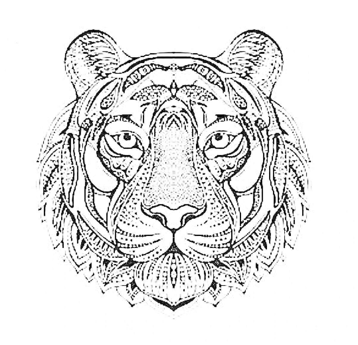 Раскраска Антистресс раскраска с тигром, стилизованное изображение тигра с детализированной симметричной узорчатой проработкой