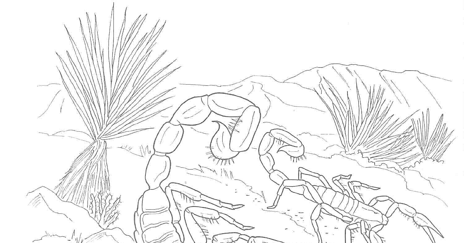 Пустыня с пустынными растениями и скорпионами на каменистом участке