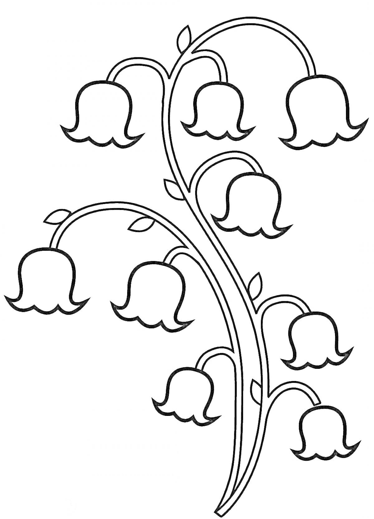 Раскраска Цветок колокольчик с семью бутонами и листьями