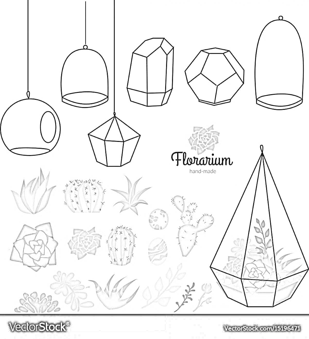 Раскраска Подвесные и геометрические террариумы с различными суккулентами и кактусами