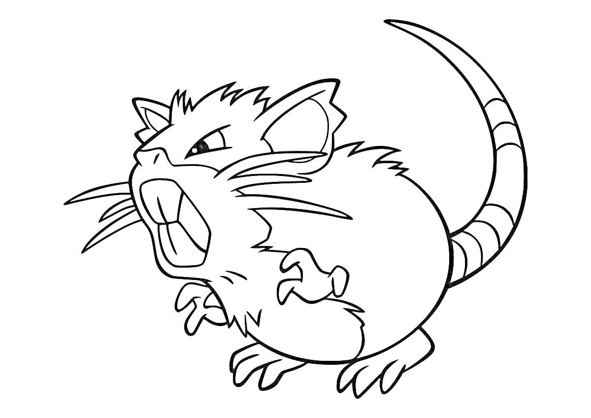 На раскраске изображено: Хвост, Усы, Когти