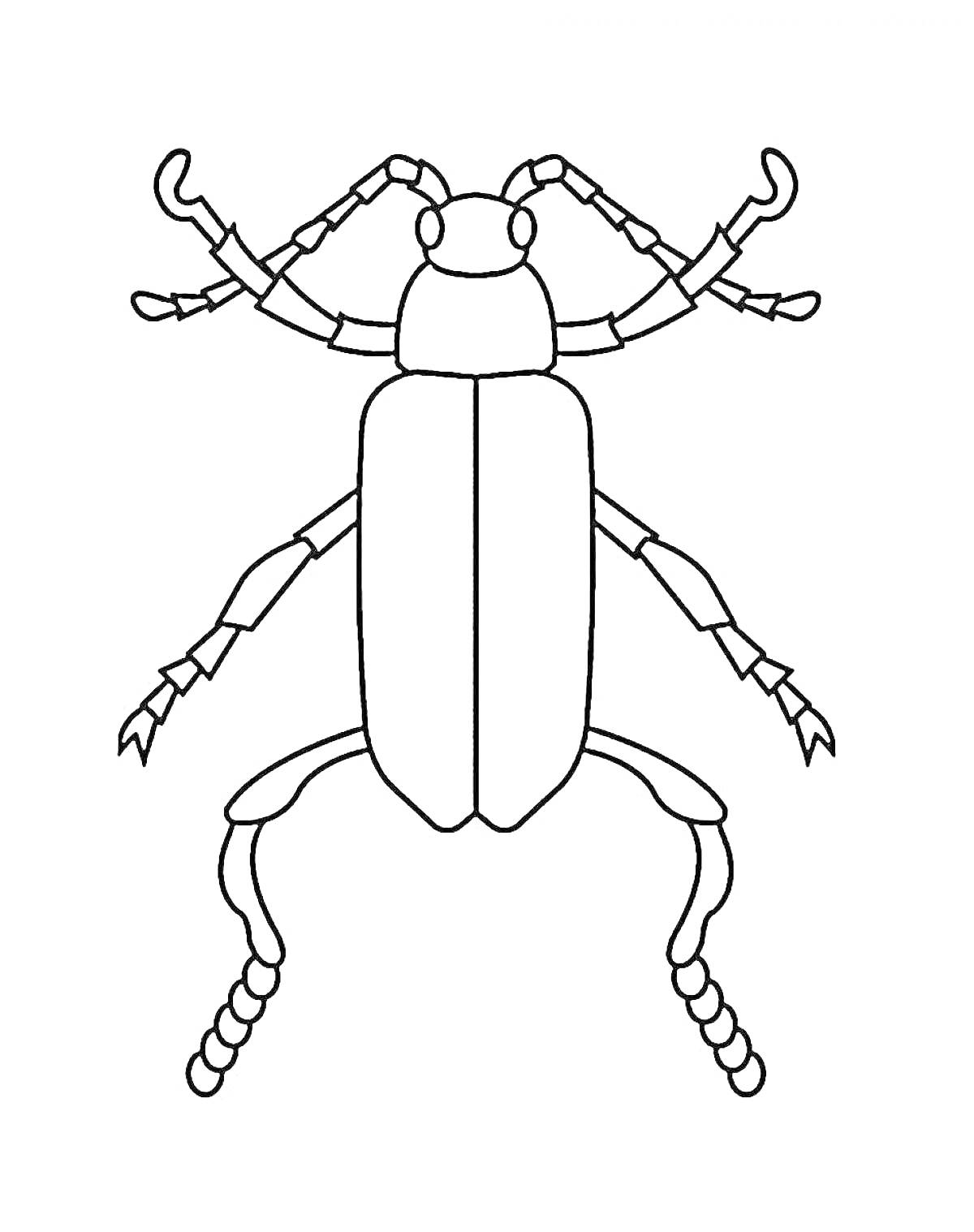 На раскраске изображено: Жучок, Насекомое, Усы, Лапы