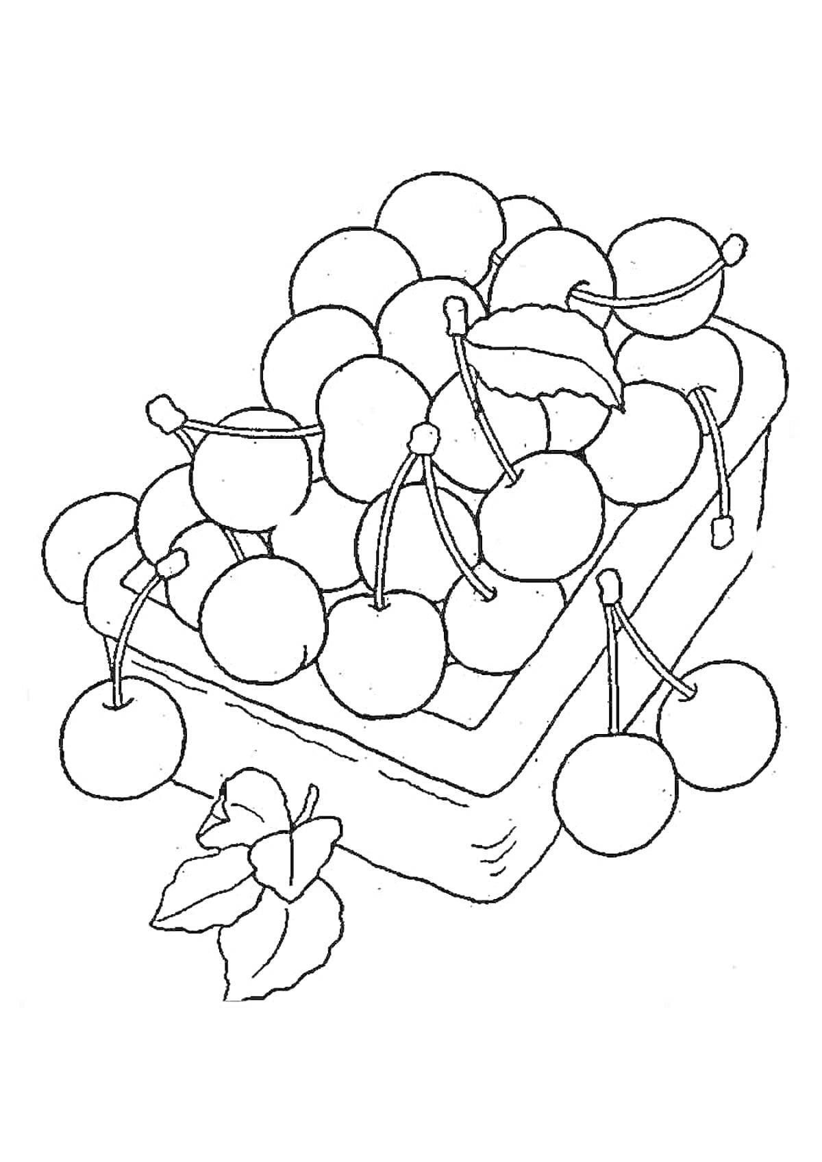 Раскраска черешня в корзине с листьями