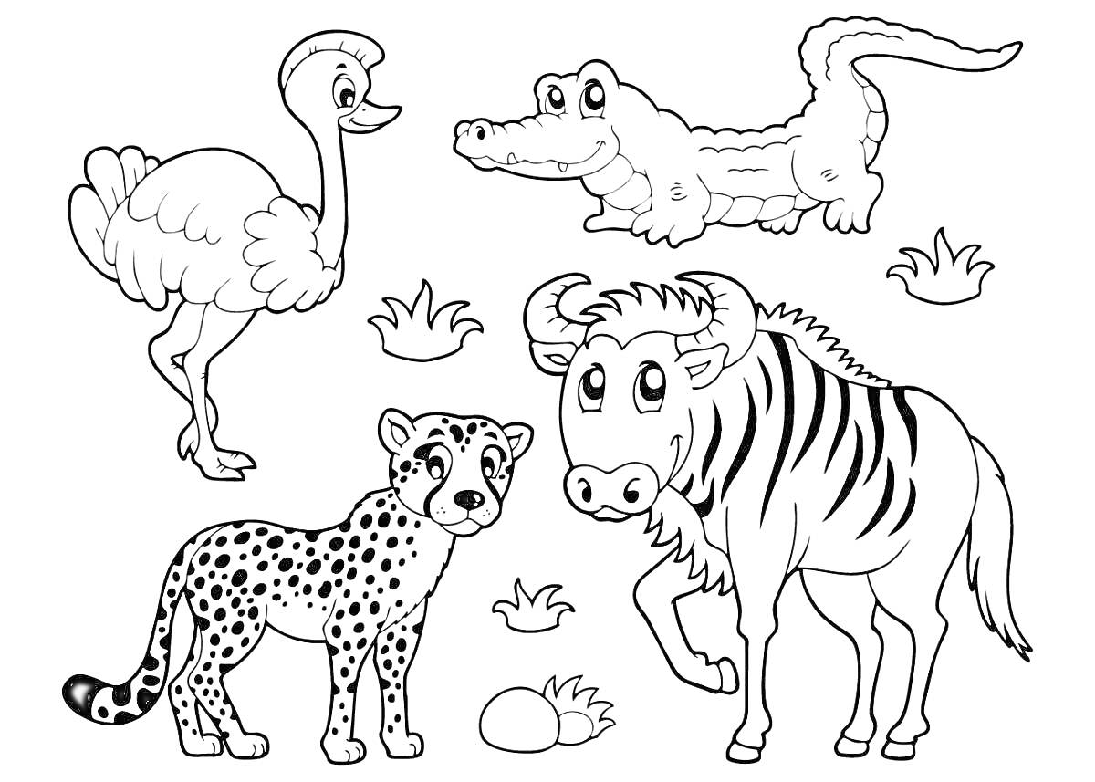 На раскраске изображено: Животные, Африка, Страус, Крокодил, Гепард, Природа, Трава