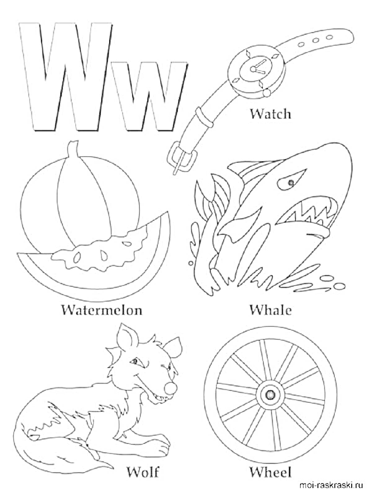 На раскраске изображено: W, Английский алфавит, Часы, Арбуз, Кит, Волк, Колеса