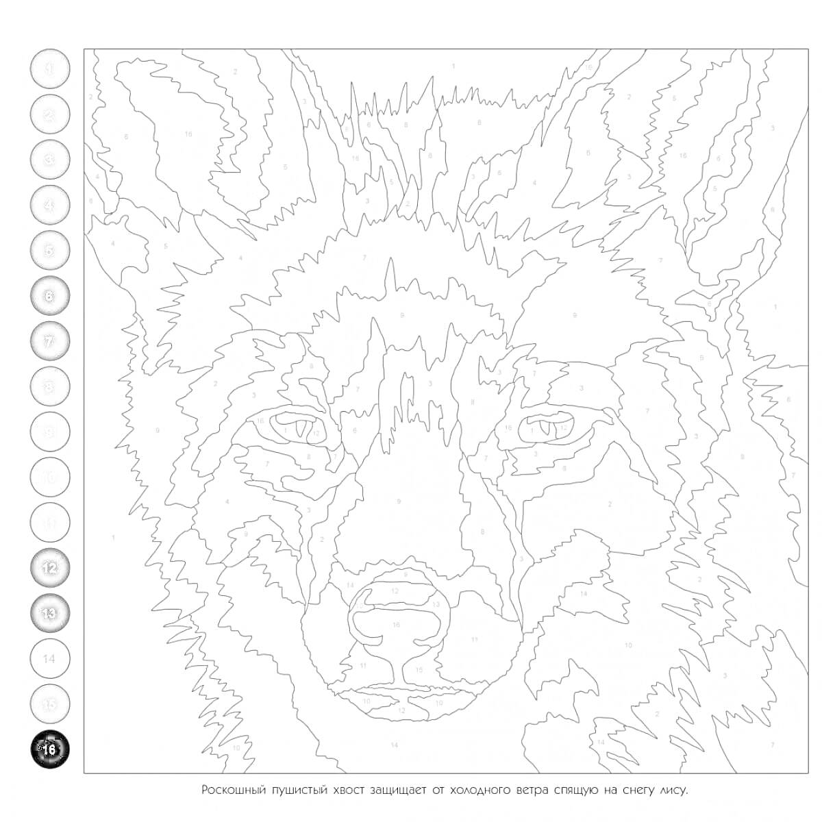 Раскраска Раскраска с изображением волка с номерами, тема - колортроник