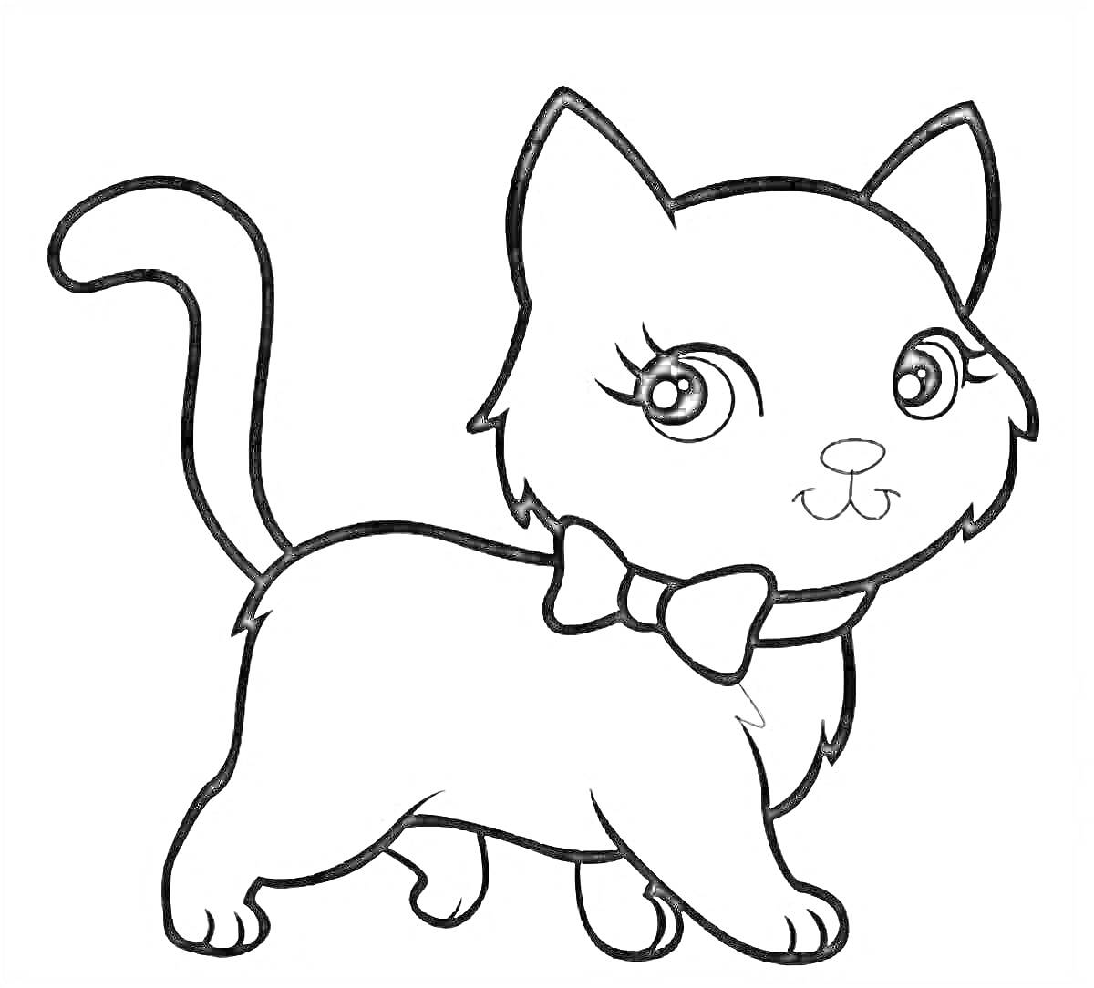 Раскраска Котик с бантиком на шее