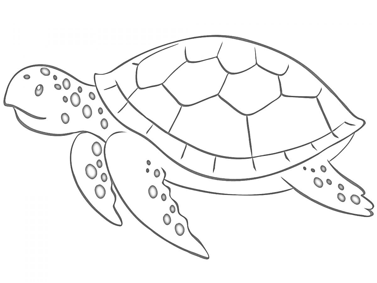 На раскраске изображено: Морская черепаха, Морская жизнь, Панцирь, Плавники