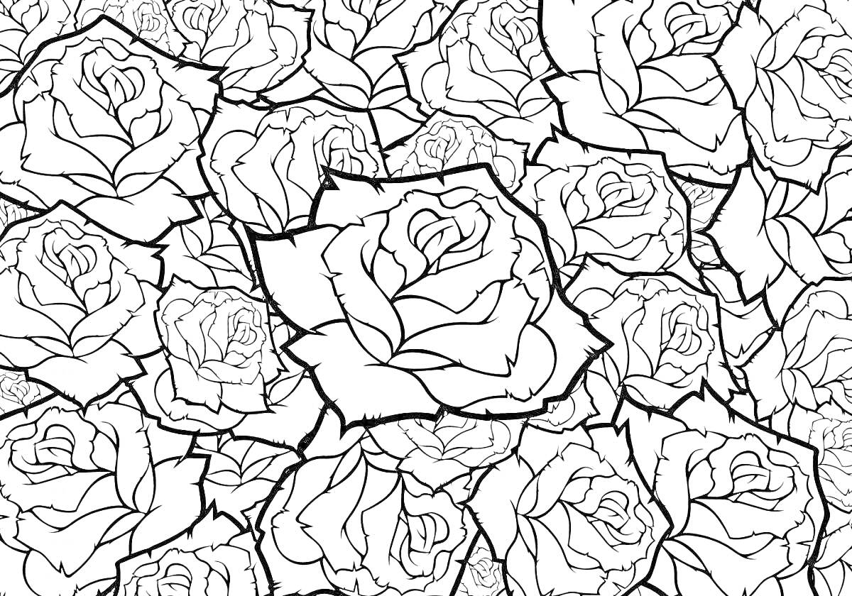 Раскраска Черно-белый узор с розами