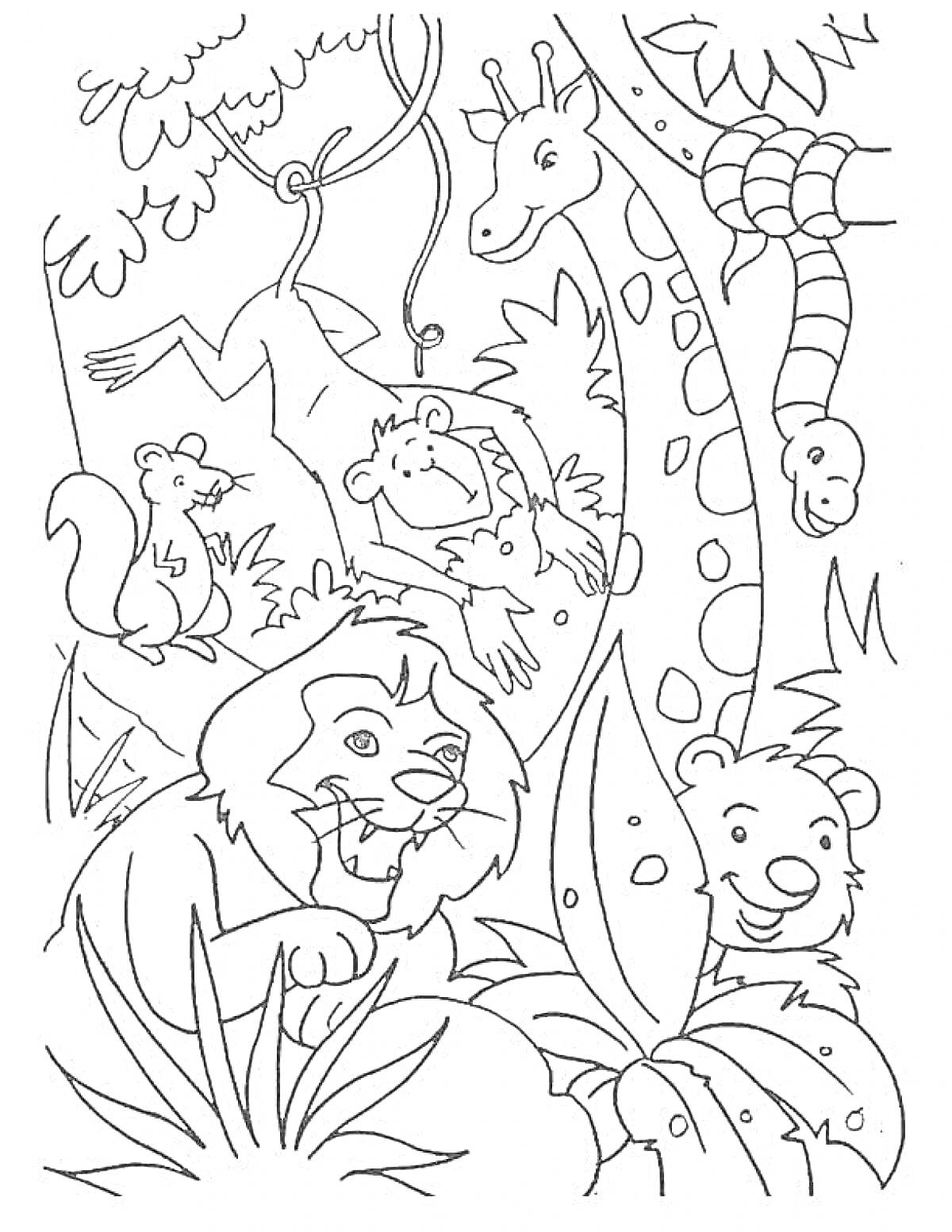 На раскраске изображено: Джунгли, Лес, Животные, Лось, Белка, Лев, Медведь, Природа