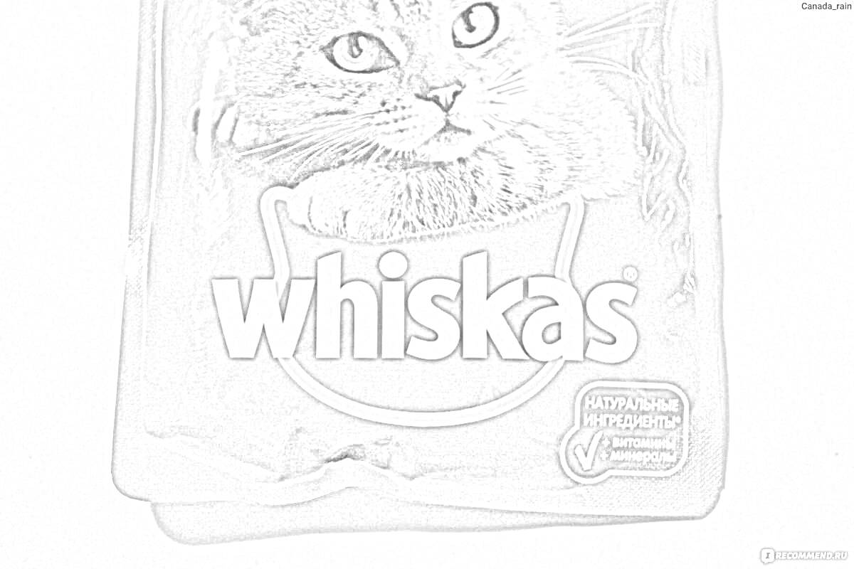 Раскраска упаковка кошачьего корма Whiskas с изображением серого полосатого кота и логотипом 