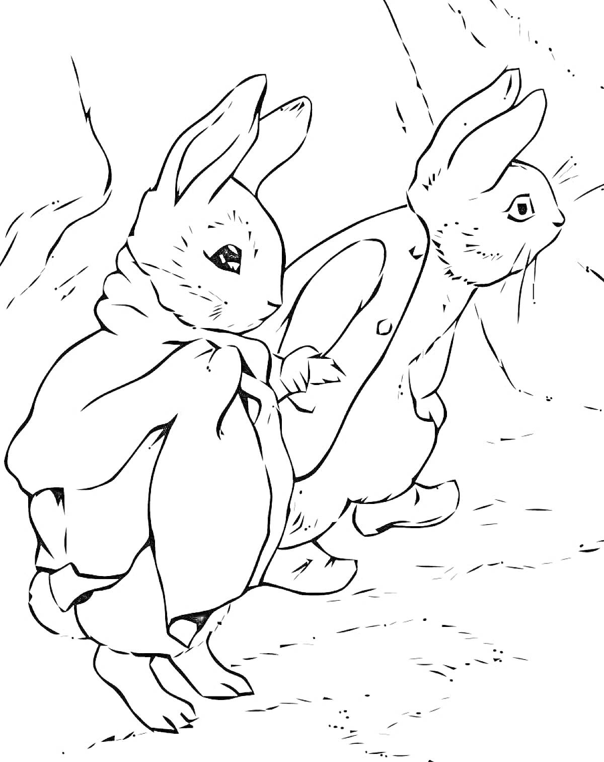 Раскраска Два кролика в плащах гуляют по лесу