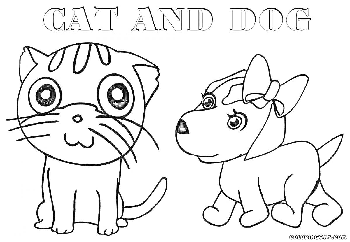 Раскраска Кошка и собака с бантом, заголовок 