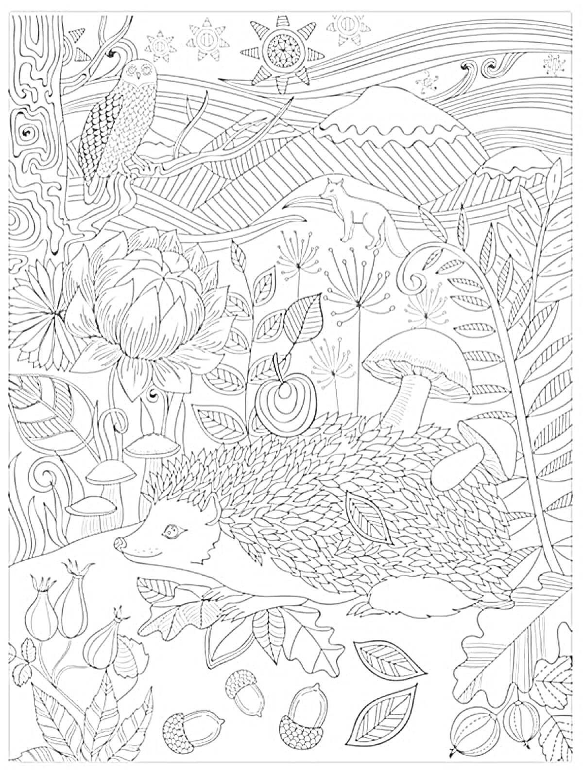 Раскраска Медитирующий ёжик в лесной сказке - ёжик, грибы, сова, цветок лотоса, гора, лиса, листья, желуди, цветочные бутоны, прозрачные линии природы и узоры