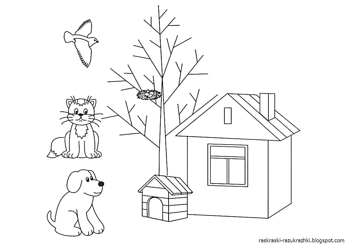 На раскраске изображено: Домик, Собака, Гнездо, 3 года, 4 года