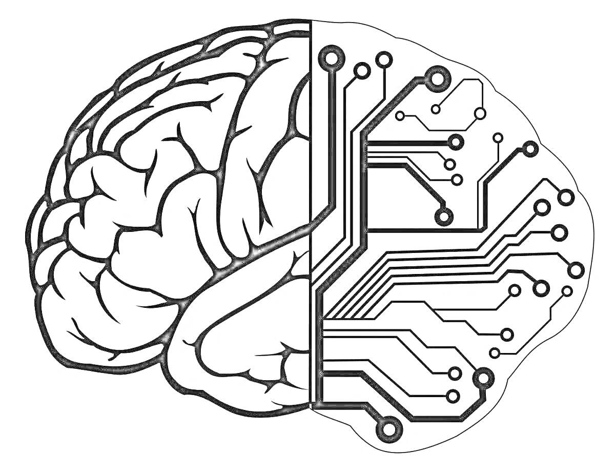 Половина мозга с делением на органическую и цифровую части