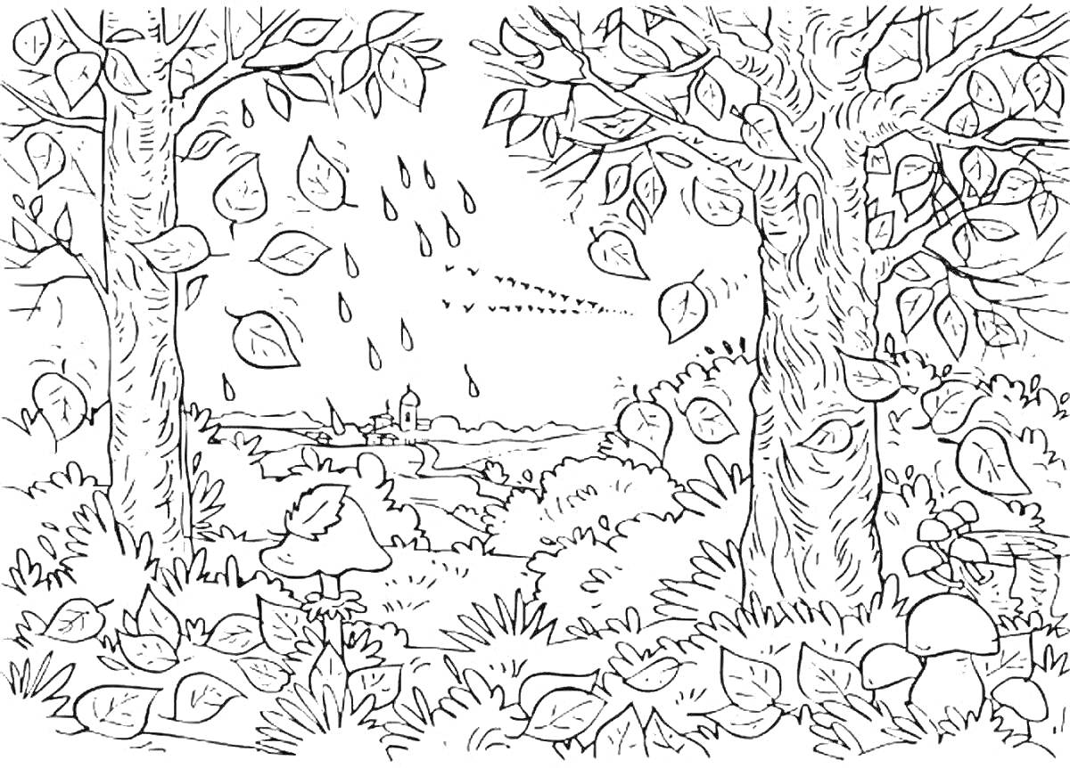 На раскраске изображено: Листопад, Лес, Деревья, Кусты, Грибы, Природа, Осень, Пейзаж, Листья